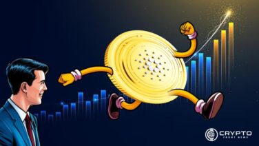 Cardano CFN