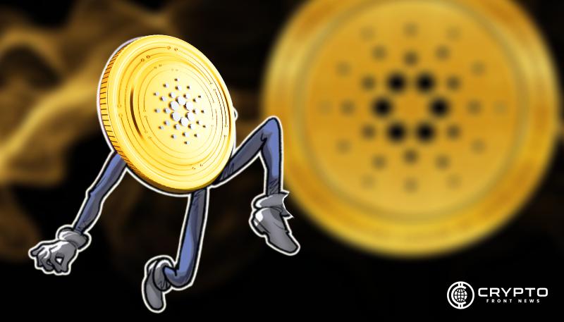 Cardano CFN