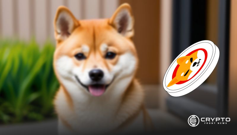 Shiba Inu CFN