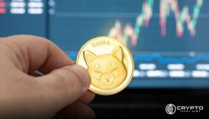 Shiba Inu Primed for Breakout Amid Hidden Bullish Divergence and Roaring Bitcoin Market