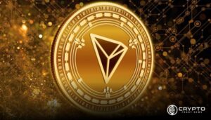Bitcoin Market Correction Brings Key Levels and Volatility Into Focus