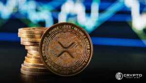 XRP’s Supply Dynamics: Top Holders and Circulation Details Revealed  