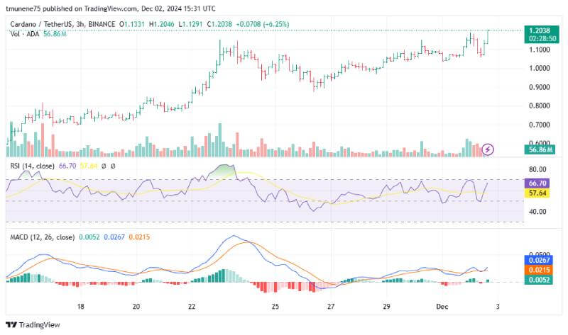 Analyst Predicts 20% Cardano Correction Before Potential Bullish Breakout