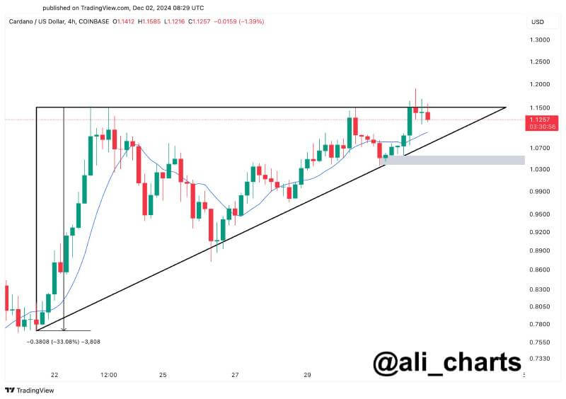 Analyst Predicts 20% Cardano Correction Before Potential Bullish Breakout