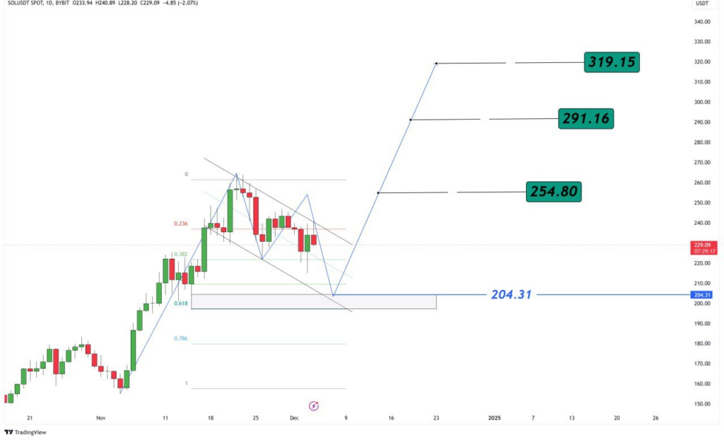 Will Solana Hit $254? $204 Support Levels Hold Key to Breakout