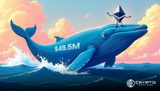 Ethereum Whale Wallet Accumulates $49.5M in ETH Amid Market Uncertainty