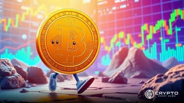 Bitcoin’s NUPL Remains in Euphoria Zone,Will This Metric Trigger a Market Shift?