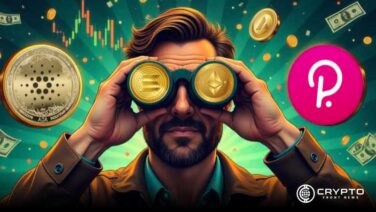 Top 3 Crypto Blockchains to Watch Now: Where Developers and Creators Thrive