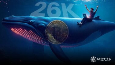 Bitcoin Whales Accumulate 26K BTC Amid Rising Market Activity