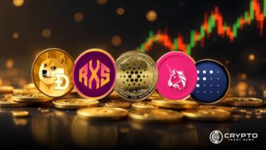 Altcoins That Could Double in Price Over the Next 45 Days: The Hidden Gems Powering Crypto’s Future