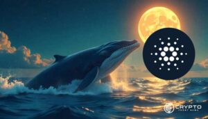 Cardano Cycle Comparison Signals Final Rally Toward $1.70–$2.10 Target Zone