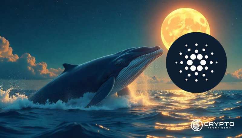 Cardano