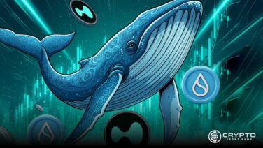 HYPE Token Soars 280% as Supply Dwindles and Whales Bet Big