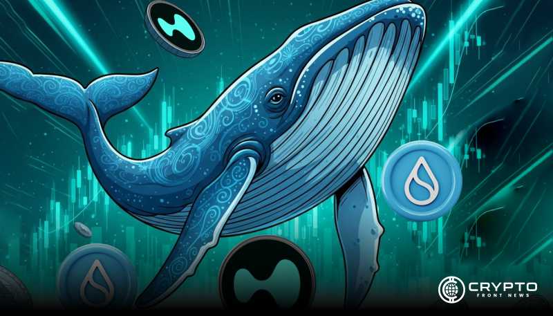 HYPE Token Soars 280% as Supply Dwindles and Whales Bet Big