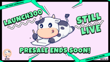 best meme coin presale to buy now, meme coin presale