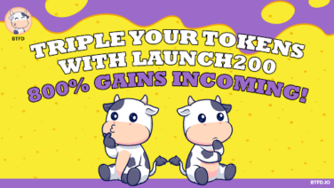 BTFD Coin presale, meme coin presale