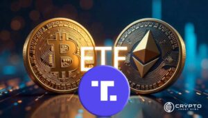 Trump’s Ethereum and NFT Gains Highlight a Varied Year in Crypto Investments