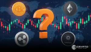 Crypto Storage Strategies for Beginners, Traders & Long-Term Investors