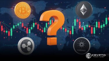 Crypto Storage Strategies