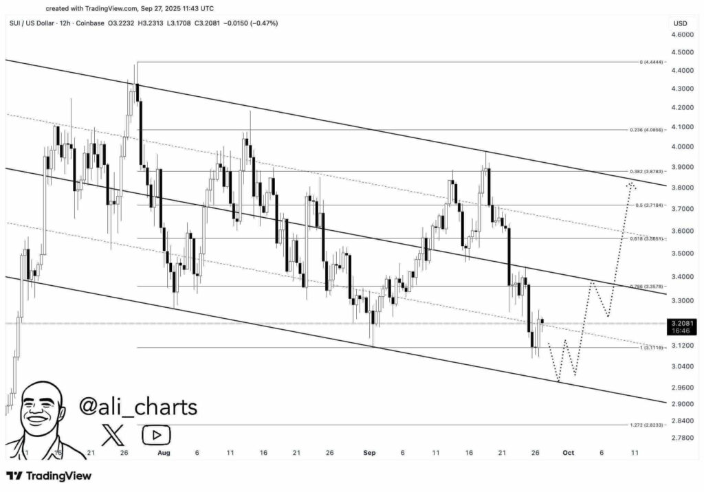 G12cY45XkAAgetq 1 1 1 1 1