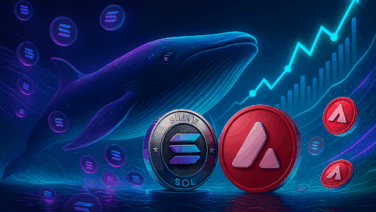 Whale Watch: Solana On-Chain Transfers Jump 520% as $1B Rotates Into DeFi Protocols