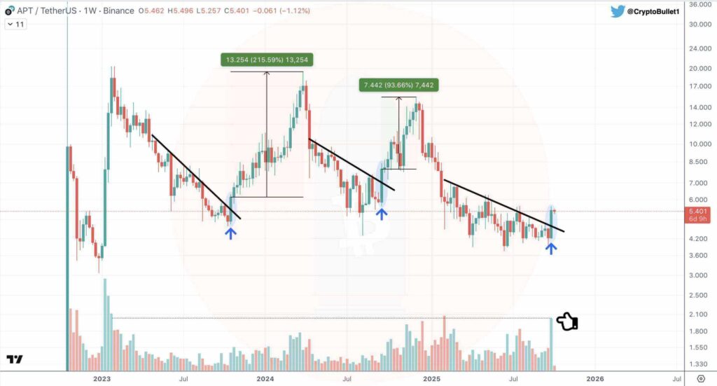 G2l yIhWgAEaAZN 1 1 1 1 1