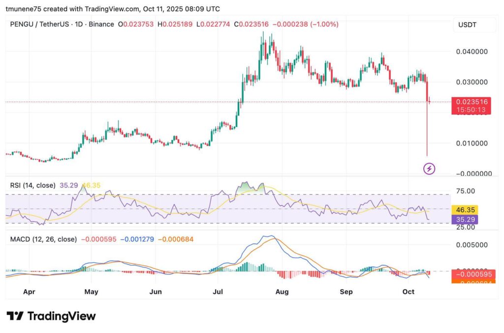 PENGUUSDT 2025 10 11 11 09 47 1
