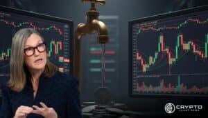 Cathie Wood Says Liquidity Returns in December