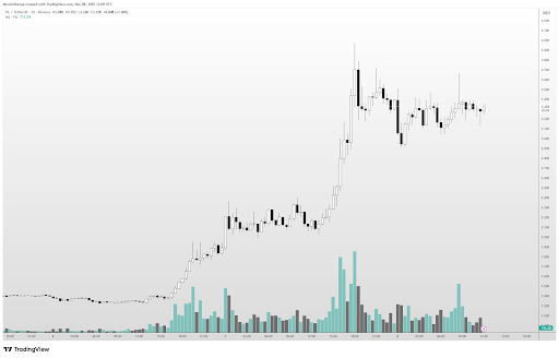 unnamed 2025 11 08T204050.572