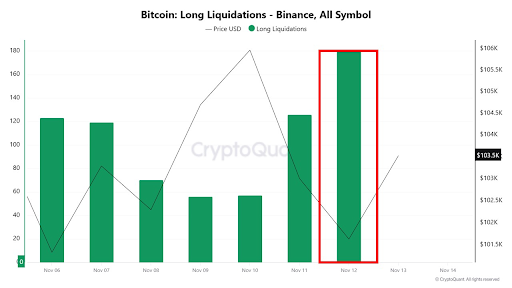 unnamed 2025 11 13T110410.669