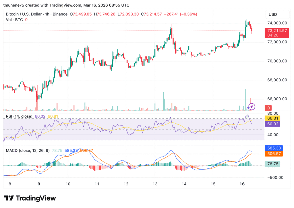Bitcoin Surges Above $74K After Rally From $60K Support Level