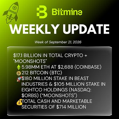 Bitmine Weekly Update