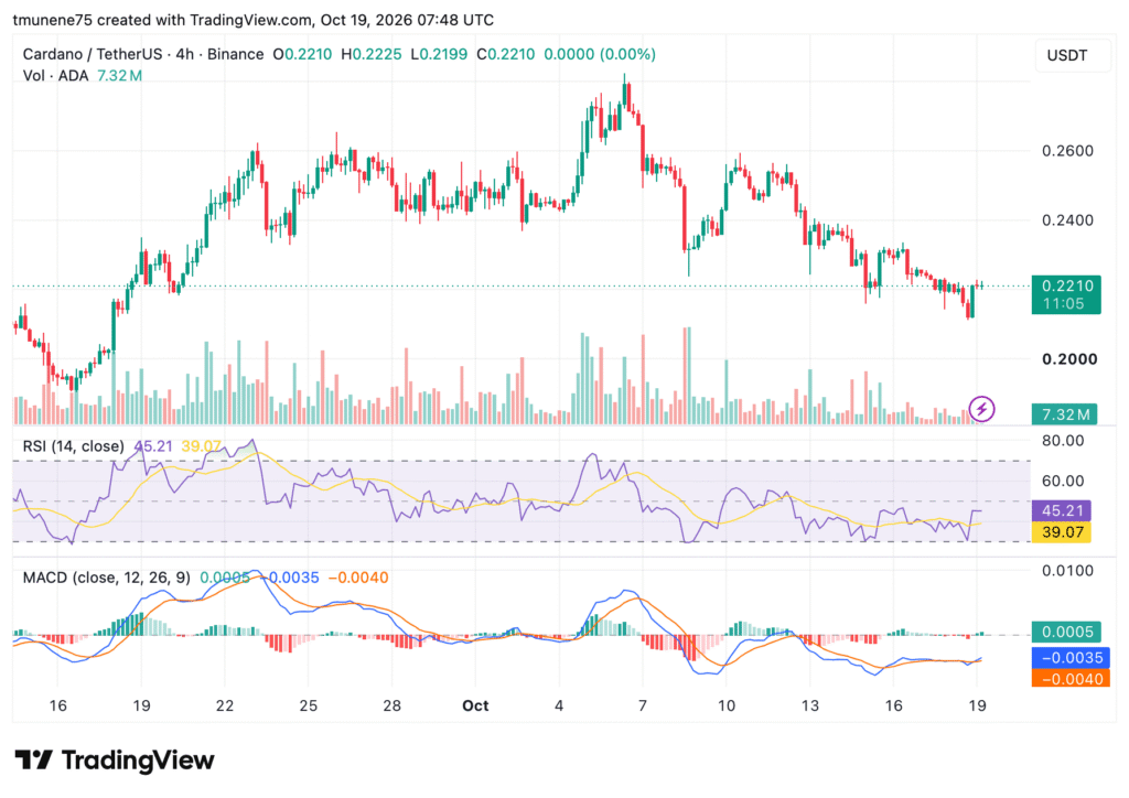 Cardano CIPs Target Token Compliance and Real-World NFTs