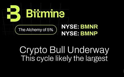 Bitmine Immersion Technologies Inc Image 1792414203fgv2QAJzMQ