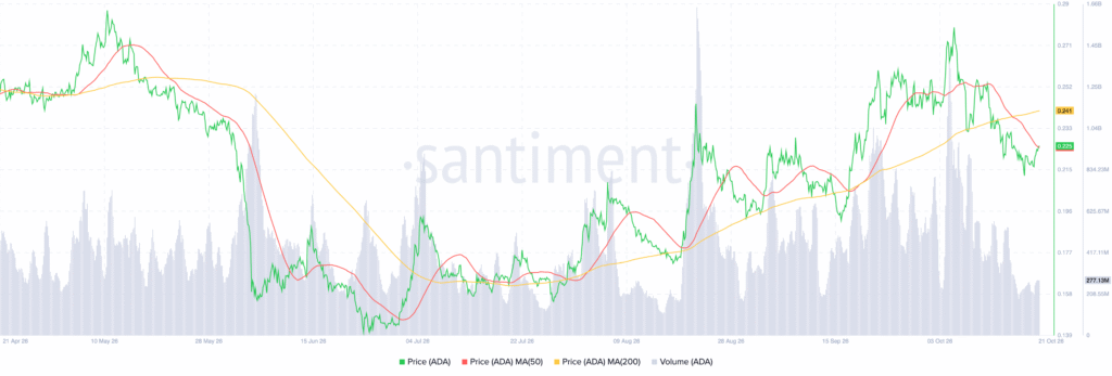Cardano Price Risks $0.17 Breakdown as Analyst Flags $0.21 Support
