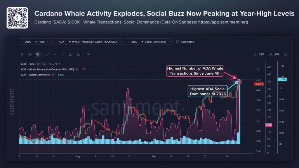 Cardano Whales Return as ADA Market Cap Jumps 42%